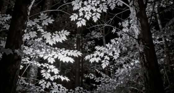 infrared light enhances nighttime vision