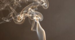 smoke shielding spiritual boundaries