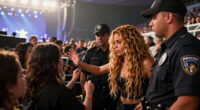 Shakira Prevents Bodyguards From Confronting Stage Invader