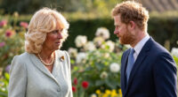 Queen Camilla “Dropped Everything” to Be Part of King Charles and Prince Harry’s Reunion