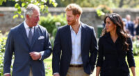 King Charles Prince Harry Meghan Status
