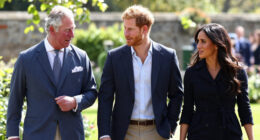 King Charles Prince Harry Meghan Status