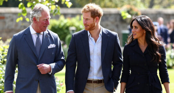 King Charles Prince Harry Meghan Status